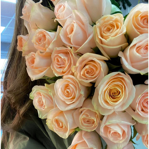 Роза Tiffany 50см