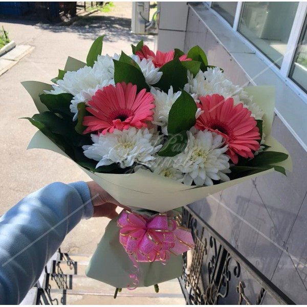 Арт. 0022. Гербера 3шт, куст.хризантема 3шт, салал 5, матовая пленка, бант (только для постоянных клиентов*) Арт. 0022. Гербера 3шт, куст.хризантема 3шт, салал 5, матовая пленка, бант (только для постоянных клиентов*)